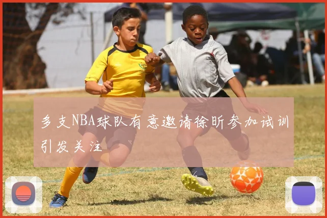 多支NBA球队有意邀请徐昕参加试训引发关注