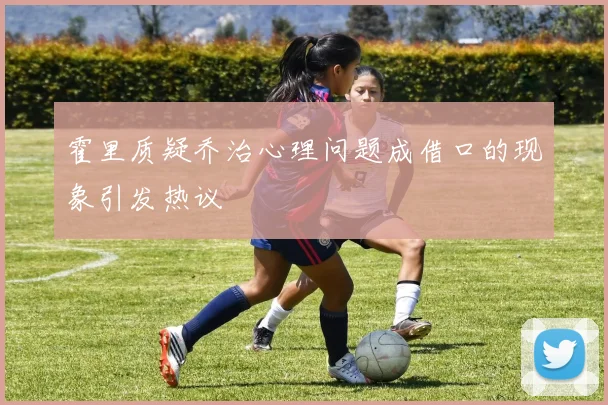 霍里质疑乔治心理问题成借口的现象引发热议